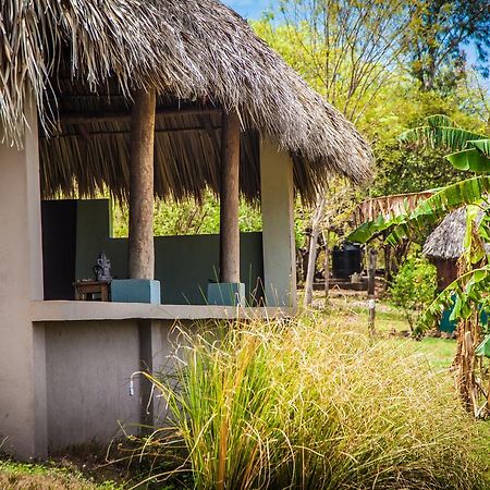 Coco Loco Eco-Resort Gemastepe Eksteriør billede